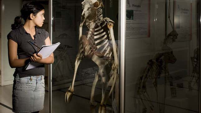 Researchers say their goat-human evolution theory, on second thought, does feel a little off.