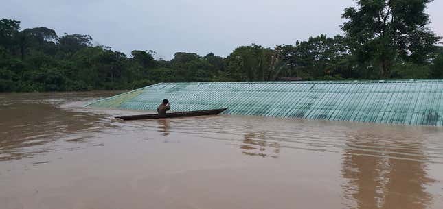 Image for article titled This Is What Climate Change Looks Like in an Era of Covid-19