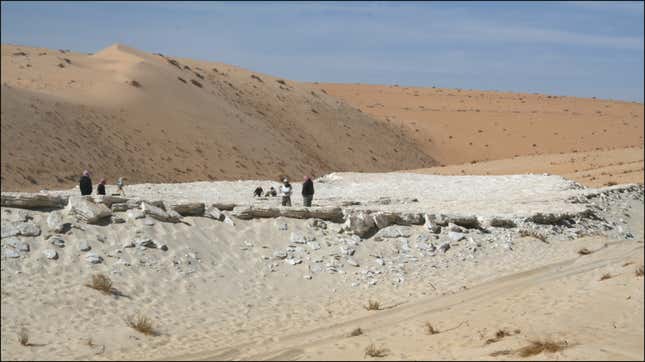 Archaeologists at the Alathar lake site in the western Nefud Desert, Saudi Arabia.