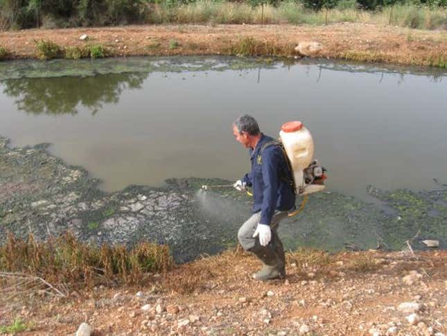 Image for article titled It's Time to Declare War on Mosquitoes