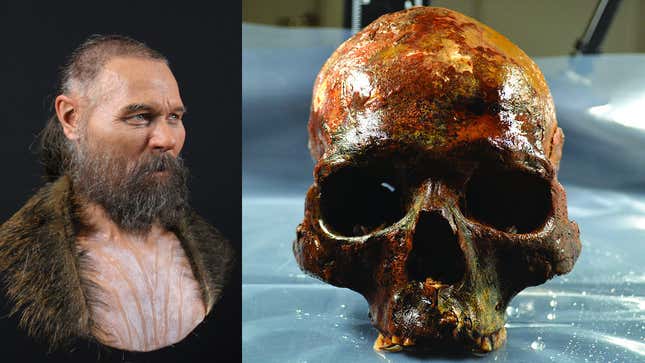 Left: Facial reconstruction of a Mesolithic man from Sweden. Right: His skull, from which the reconstruction was based. 