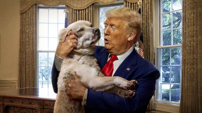 Image for article titled Trump Attempts To Soften Image Before Election By Adopting Dead Dog