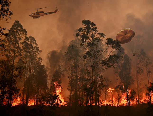 Image for article titled Jeff Bezos Donates $690,000 Directly Into Australian Fire