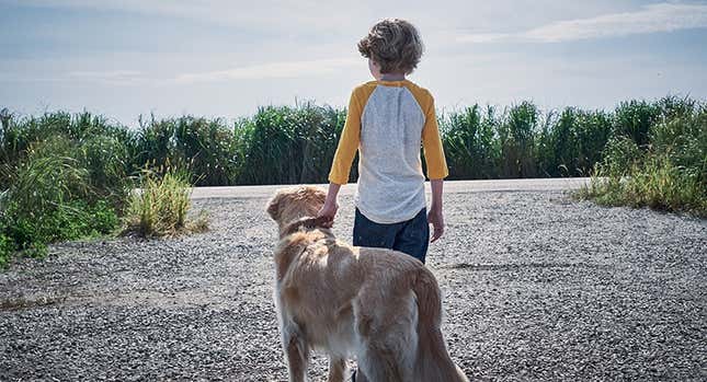 An image from In the Tall Grass.