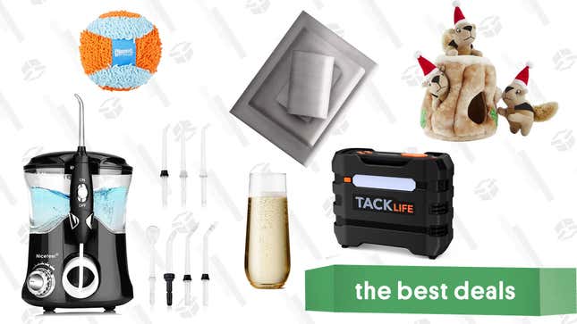 Image for article titled Friday&#39;s Best Deals: Dog Toys, Tire Inflators, Champagne Glasses, Water Flossers, and More