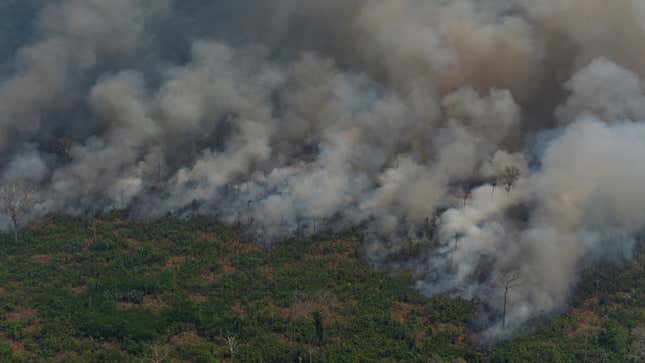 Image for article titled What Caused the Amazon Rainforest Fires?