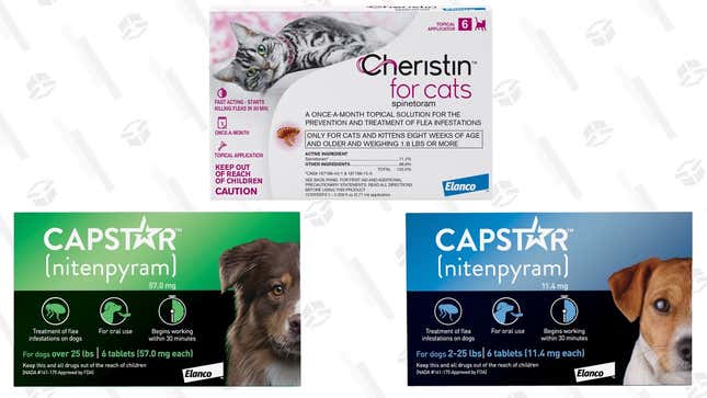 20% Off Select Flea Medication | Chewy | Discount shown at checkout. Limit 5 boxes. 