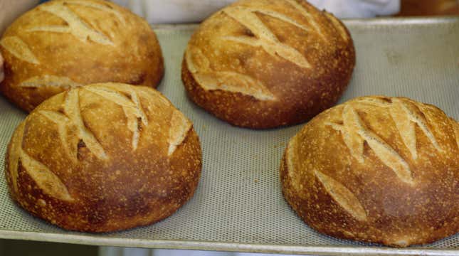Beautiful sourdough loaves like these might soon leave your Instagram feed.