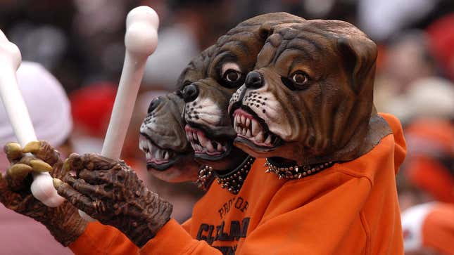 Image for article titled Entirety Of Browns Dawg Pound Euthanized Following Rabies Outbreak
