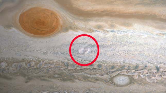 A bright new spot, known as a a convective outburst, has appeared on Jupiter. 