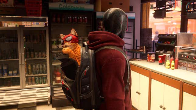 Spider-Man’s feline fine.