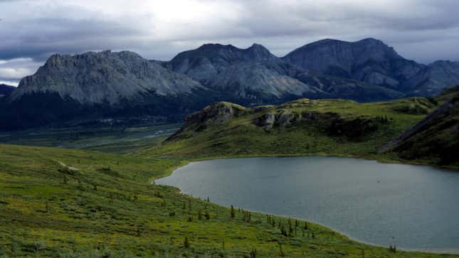 The Arctic National Wildlife Refuge