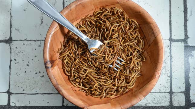 Bowl of mealworms with fork