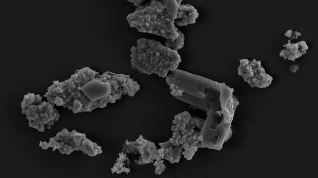 Electron microscope image showing meteorite dust fragments inhabited and processed by M. sedula. 