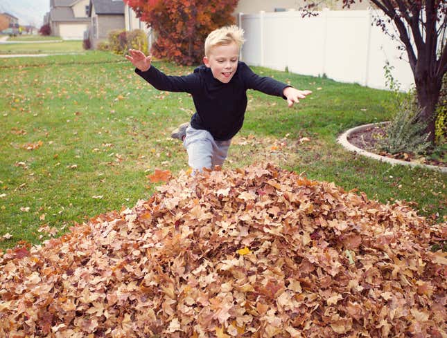 Image for article titled Kid Diving Into Pile Of Leaves Has No Idea There Homeless Guy Jerking Off In There