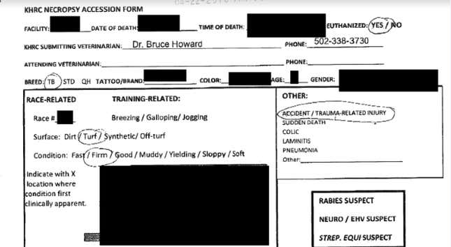 An example of a necropsy report released by the Kentucky Horse Racing Commission.