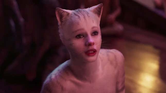 A shot from the upcoming humanimal film Cats.