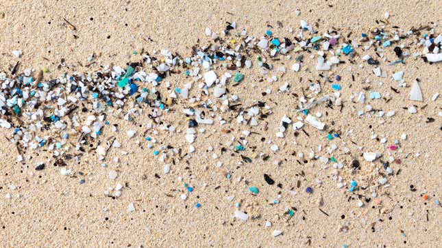 Image for article titled How to Avoid Ingesting Microplastics