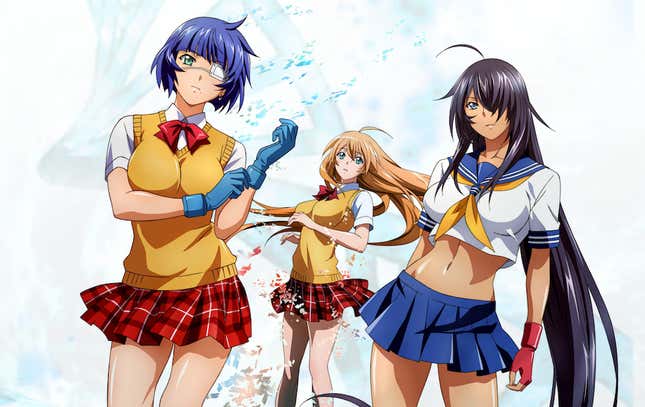 Image for article titled Ikki Tousen Anime Studio Declares Bankruptcy