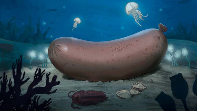 Image for article titled Biologists Discover Modern-Day Corn Dog Descended From Ancient Aquatic Sausage