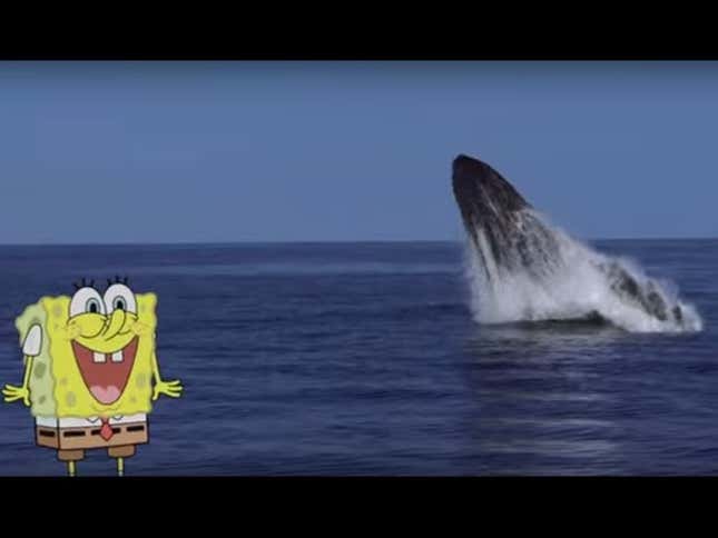 <i>SpongeBob SquarePants </i>Wants You to Please Give Plankton Their Due