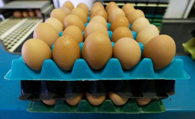 Foto: Charlie Neibergall / AP Images.