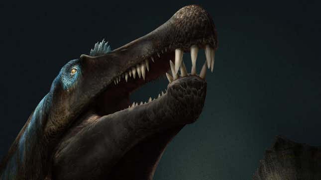 Artist’s interpretation of Spinosaurus underwater. 