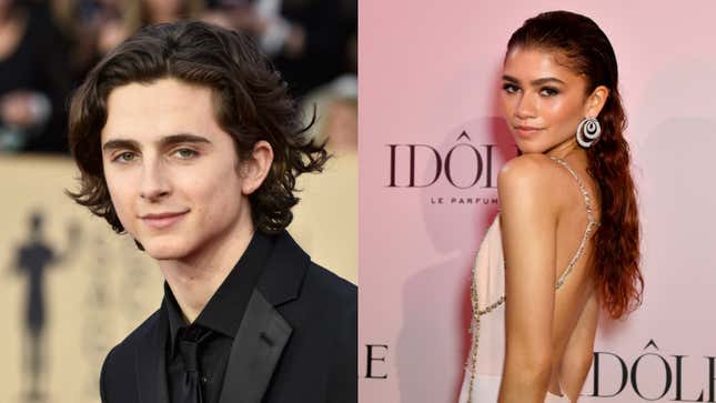 Image for article titled Timothée Chalamet Went to Bed, Bath &amp; Beyond With Zendaya, Without Tiny Goatee