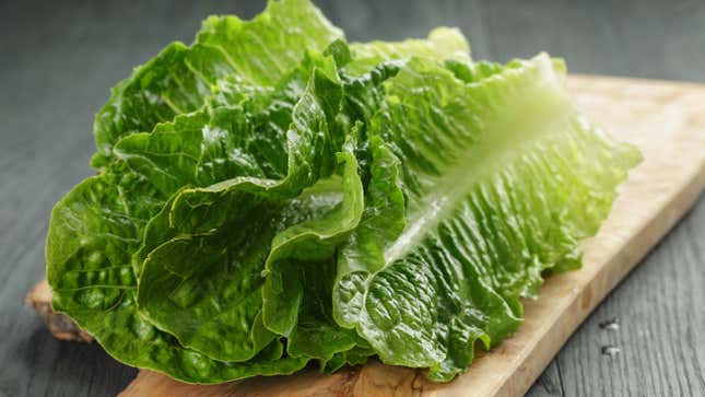 Image for article titled It&#39;s Time for the Annual Romaine Recall