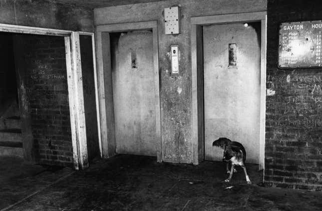 16th June 1978: The lift entrance to flats at Gayton House on Lincoln Estate, Bow, east London.
