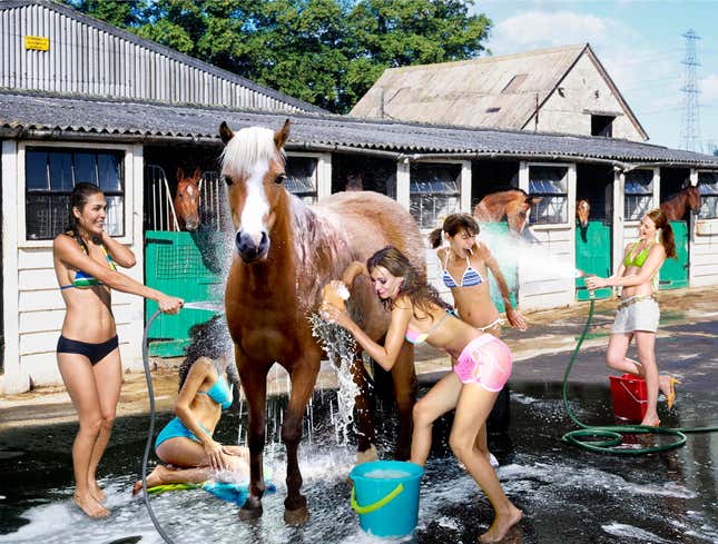 Image for article titled Sorority Raises Money At Local Stable With Bikini Horse Wash