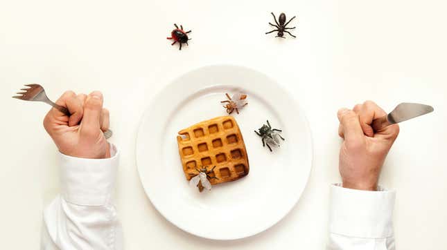 Image for article titled Insect fat tastes just like butter in Belgian waffles