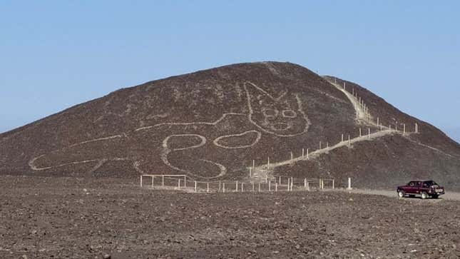 Descubren el geoglifo de un gato en la Pampa de Nazca
