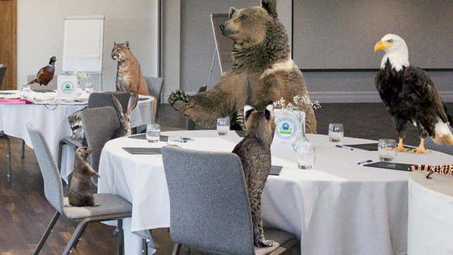 Image for article titled EPA Hoping To Streamline Ecosystem By Hosting Team-Building Lunch Meet-And-Greets Between Species
