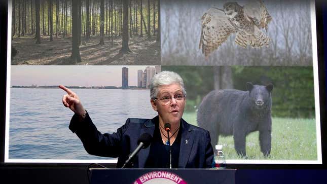 EPA administrator Gina McCarthy says her agency is fully committed to saving all types of flora and fauna, provided any of them still exist.
