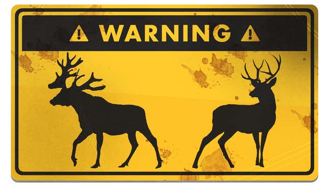 Image for article titled How to Survive a Deer or Moose Attack