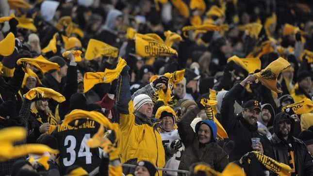 Image for article titled Steelers Fans