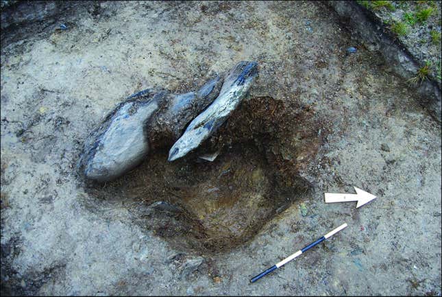 A stonehole uncovered at Waun Mawn, including the packing used to secure the missing stone.