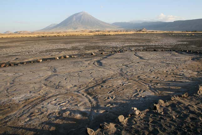 The Engare Sero footprint site. An eruption of Oldoinyo L’engai (the volcano in the background) generated the ash in which the footprints were preserved.