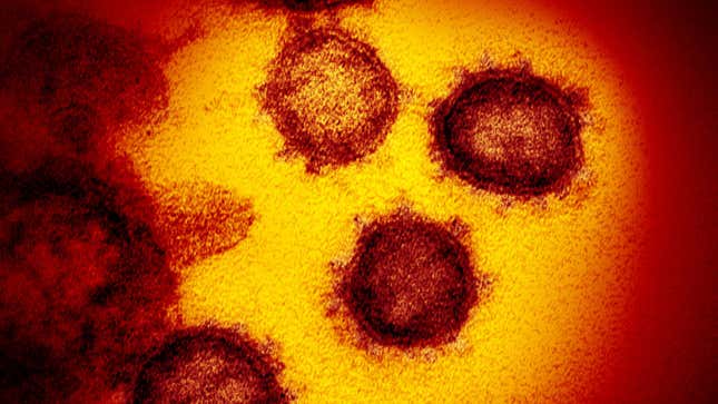 Imagen para el artículo titulado Las razones por las que el coronavirus SARS-CoV-2 ni ha sido diseñado en laboratorio ni se ha escapado de uno
