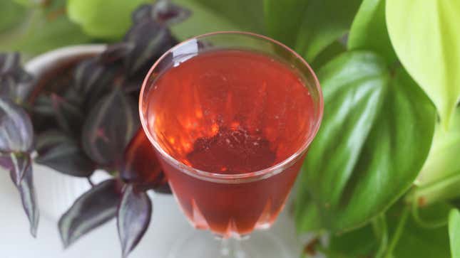 Image for article titled Dark Rum and Campari Love Each Other Very Much