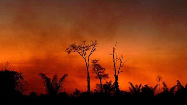 Smoke rises from a burnt area of land a the Xingu Indigenous Park, Mato Grosso state, Brazil, in the Amazon basin, on August 6, 2020.