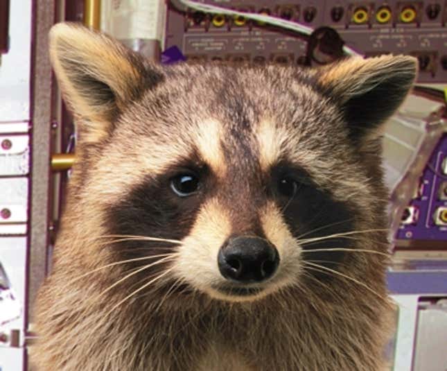 The pesky raccoon that has turned the ISS (below) upside down.