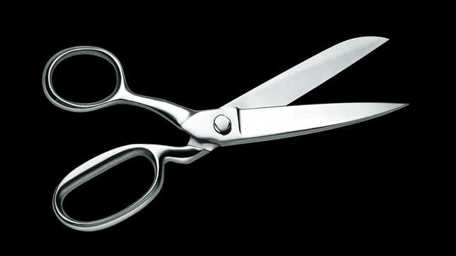Image for article titled 10 Breathtaking Photos That Perfectly Capture The Unwavering Spirit Of Scissors
