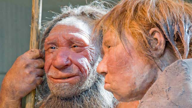 Dos modelos de neandertales expuestos en el Neanderthal Museum de Mettmann.
