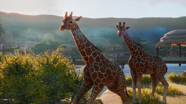 Image for article titled In Planet Zoo, You Can Only Get Good By Learning Facts About Animals