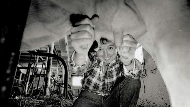 Woman smiling while milking cow