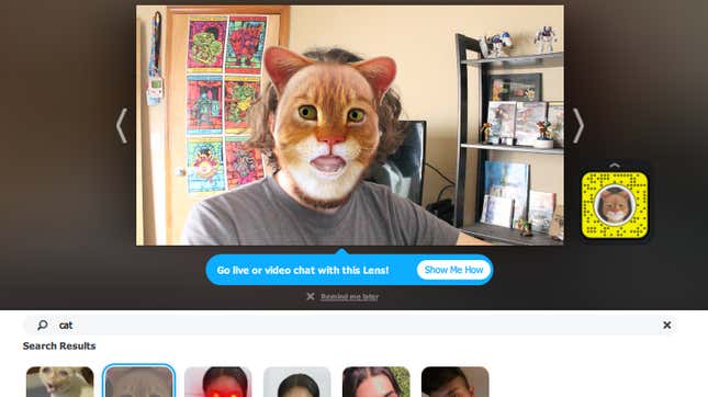 Image for article titled How to Turn Yourself Into a Cat (In a Video Call)
