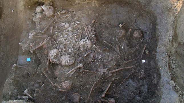 The upper layers of the mass grave, found in Croatia.