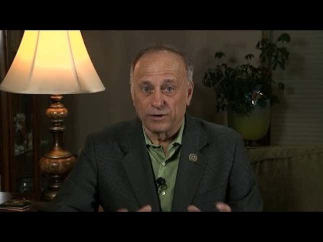 GOP Rep. Steve King Would Like to See an America That's 'So Homogenous That We Look a Lot the Same'<em></em>